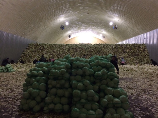 Овощехранилище