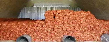 Овощехранилеще